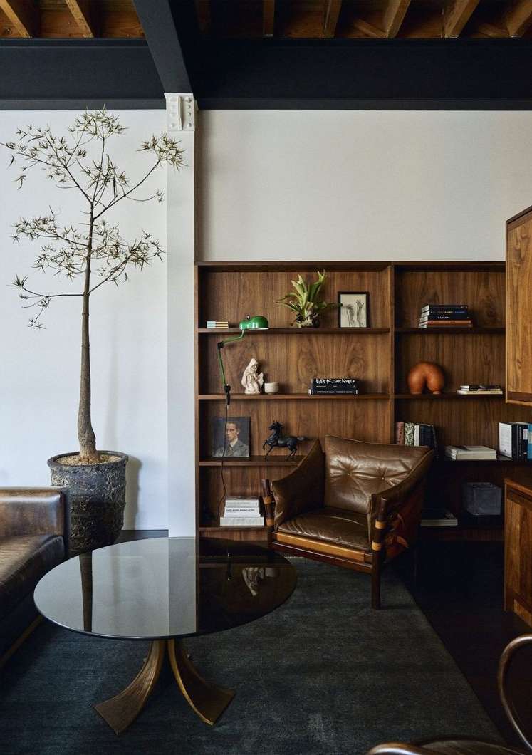 Interior of a room featuring a leather chair and sofa, a black glass table, a tall potted plant, and a wooden bookshelf. 