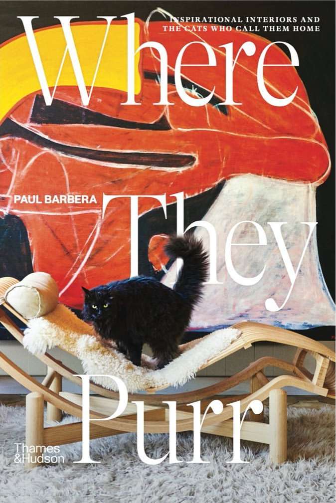 Book cover featuring a fluffy black cat on a wooden lounge chair against an abstract red painting by photographer Paul Barbera