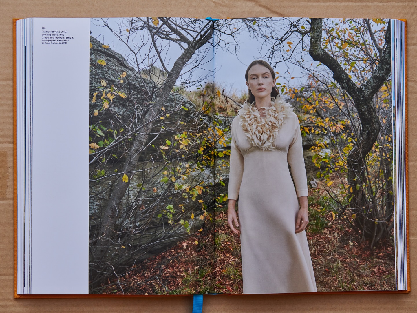 Fashion editorial image featuring a woman in a long dress with a feathered collar, posing outdoors in a natural setting with trees and rocks.
