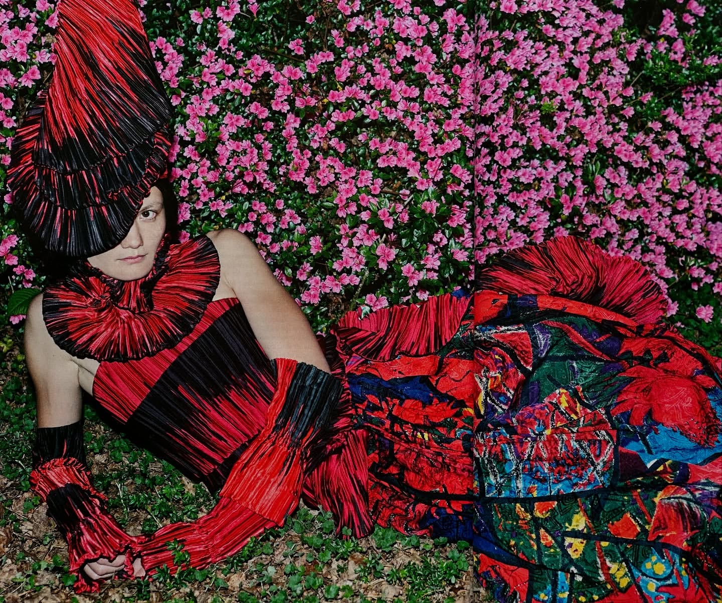 Fashionable individual in vibrant pleated red and black ensemble lies amidst lush greenery and flowering pink azalea bushes.