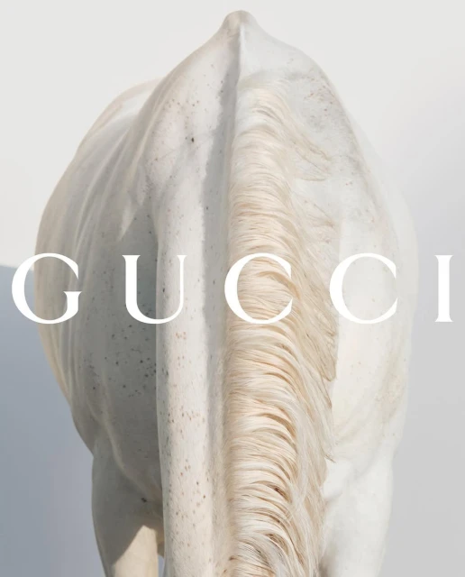 Close-up of a white horse from behind, its tail flowing downward, with the Gucci logo overlayed in white, against a bright white background.