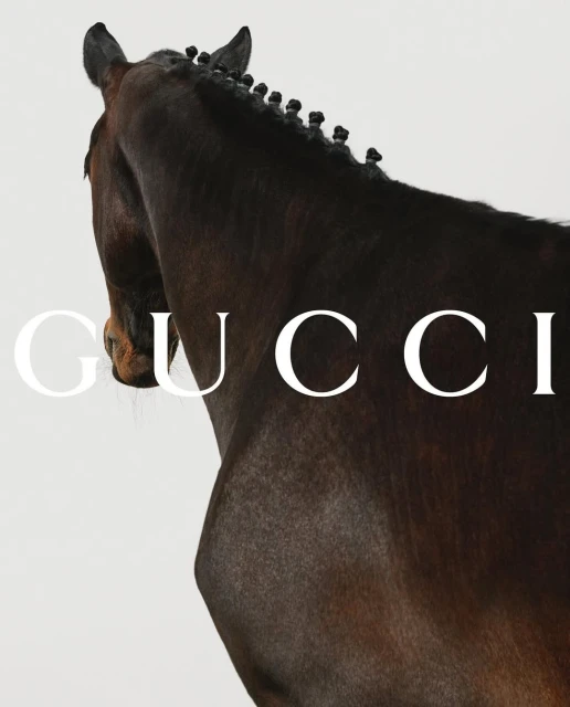 Close-up shot of the upper body of a brown horse in front of a white background, with the word 'GUCCI' in white letters.