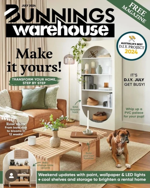 Magazine cover features a living room scene with a couch, table, shelves, and dog, promoting home decor and DIY projects.