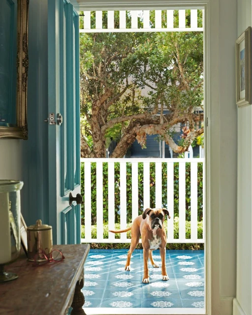 Brown boxer dog stands alertly in a doorway with aqua door and patterned floor, leading to a fenced yard with a large tree.