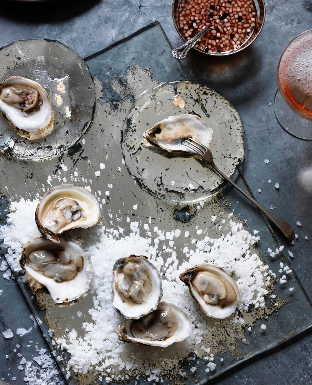 Overhead shot of fresh oysters on a reflective surface with coarse salt, alongside a cocktail and a bowl of mignonette sauce.