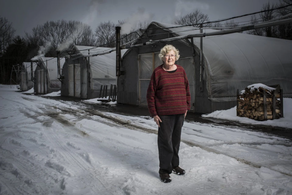 Full-length portrait of an older woman standing in front of greenhouses on a snowy day, with firewood stacked nearby.