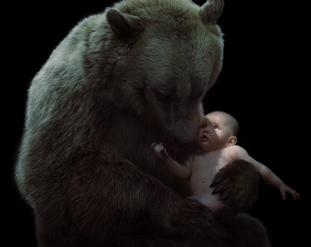 Conceptual image featuring a baby held by a brown bear against a black background, creating a contrasting and protective visual narrative.