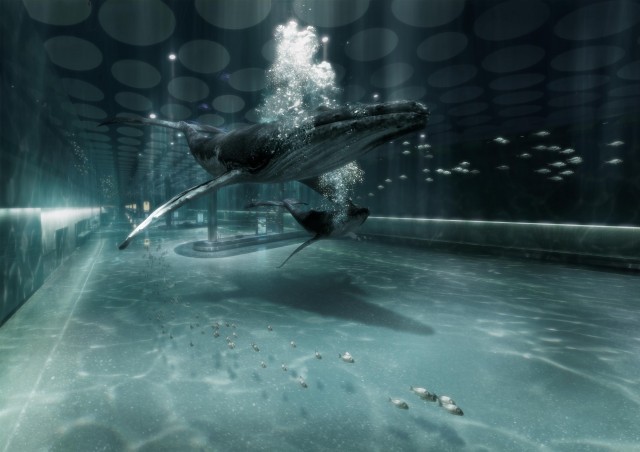 Whales swim underwater in a pool illuminated by circular ceiling lights, creating a captivating scene with bubbles and aquatic ambiance.