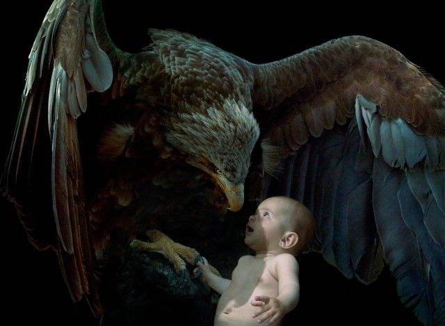 An artistic photo showing a baby looking up at a large eagle, set against a dark background, highlighting the contrast between the two subjects.