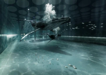 Humpback whale swimming inside a large flooded indoor space with a patterned ceiling and small fish below