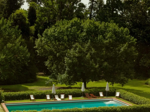 A serene swimming pool is framed by lush green trees and manicured hedges on a sunny day, with lounge chairs inviting relaxation.