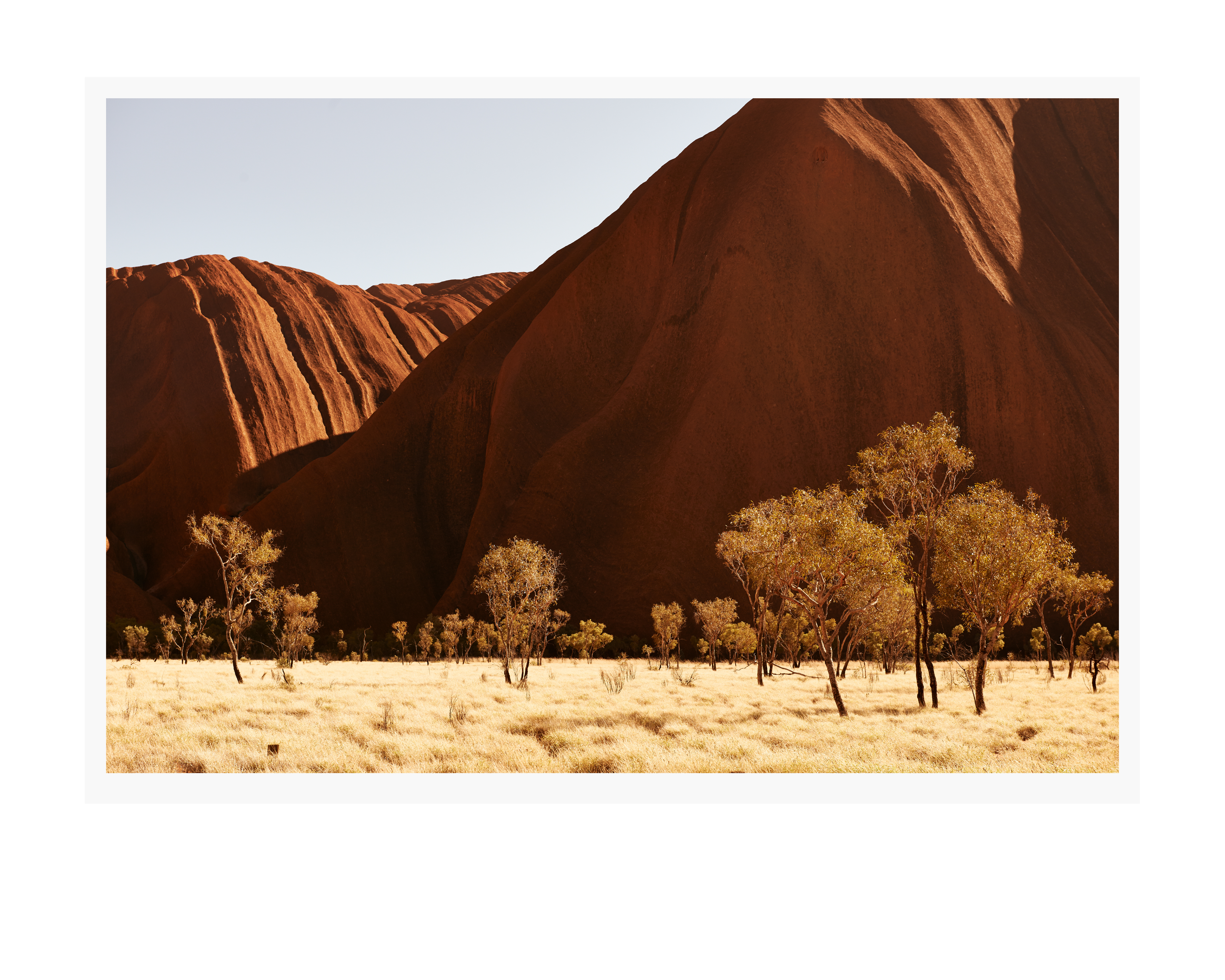 Desert landscape featuring a large, red rock formation with golden grasses and sparse trees under a clear sky, capturing a remote, natural setting.