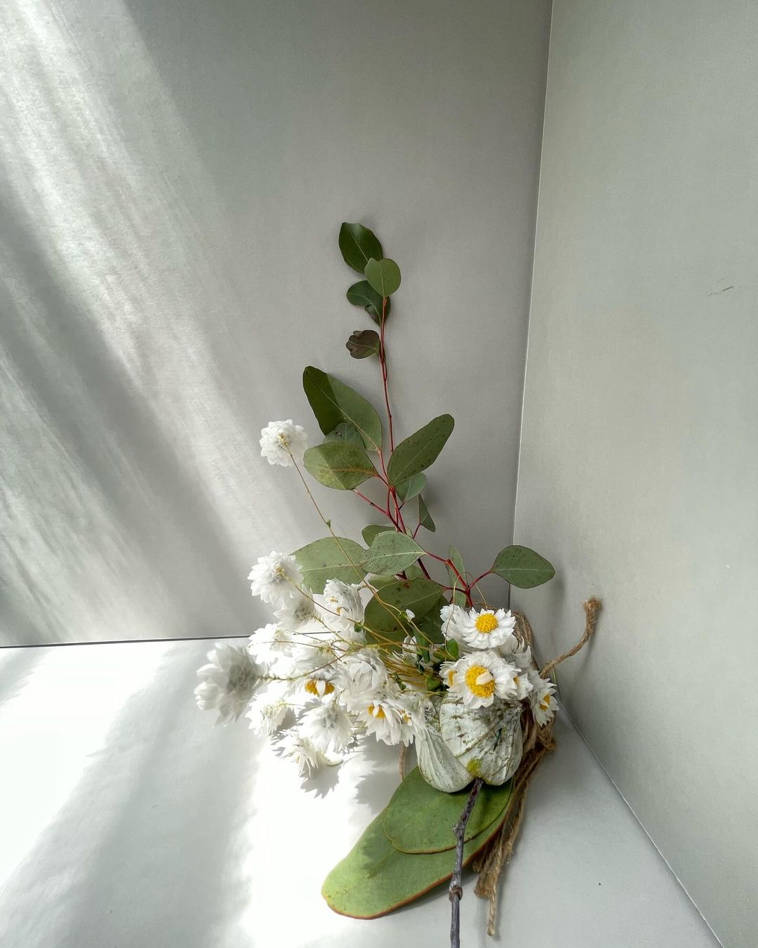 Bouquet of white flowers with green leaves, tied with string, sitting on a white surface with natural light and shadows.