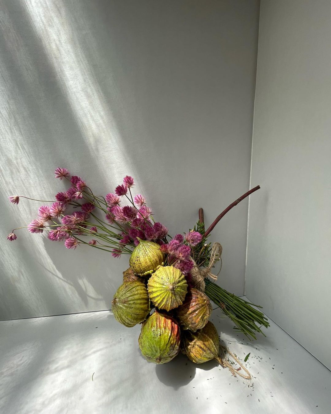 Still life of a bouquet of dried pink globe amaranth flowers and green decorative gourds in a photo studio with soft window lighting.
