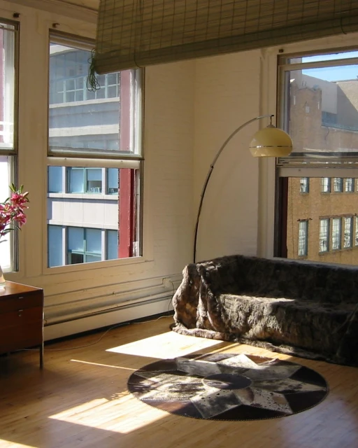 Living room interior with a brown couch covered by a fur throw blanket, a floor lamp, and a round patterned rug on a wood floor.