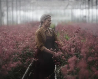 Elderly woman in a brown shirt and apron tending to pink flowering plants inside a greenhouse