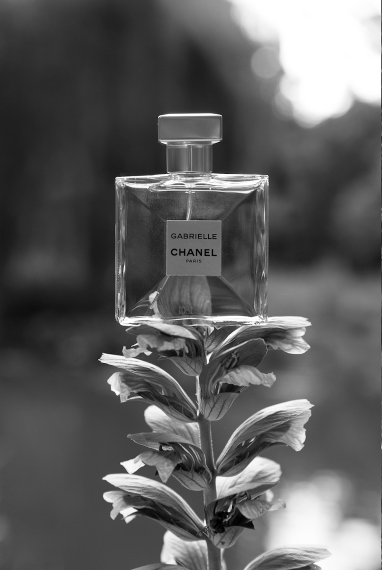 Monochrome close-up of a Chanel Gabrielle perfume bottle balanced on a plant against a blurred background in natural light.