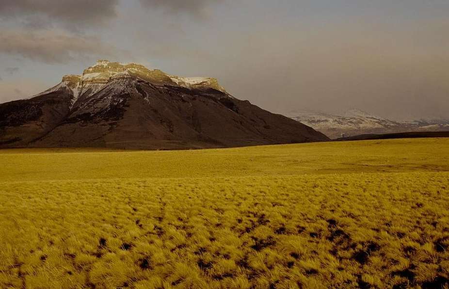 Vast golden grassland stretches to meet a brown mountain range with snowy peaks under a partially cloudy sky in a landscape scene.