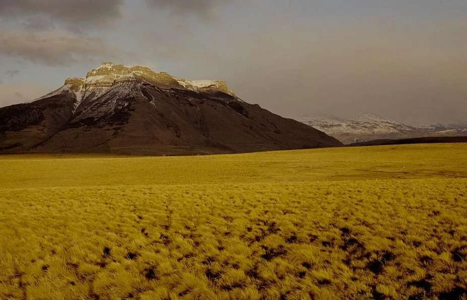 Vast golden grassland stretches to meet a brown mountain range with snowy peaks under a partially cloudy sky in a landscape scene.
