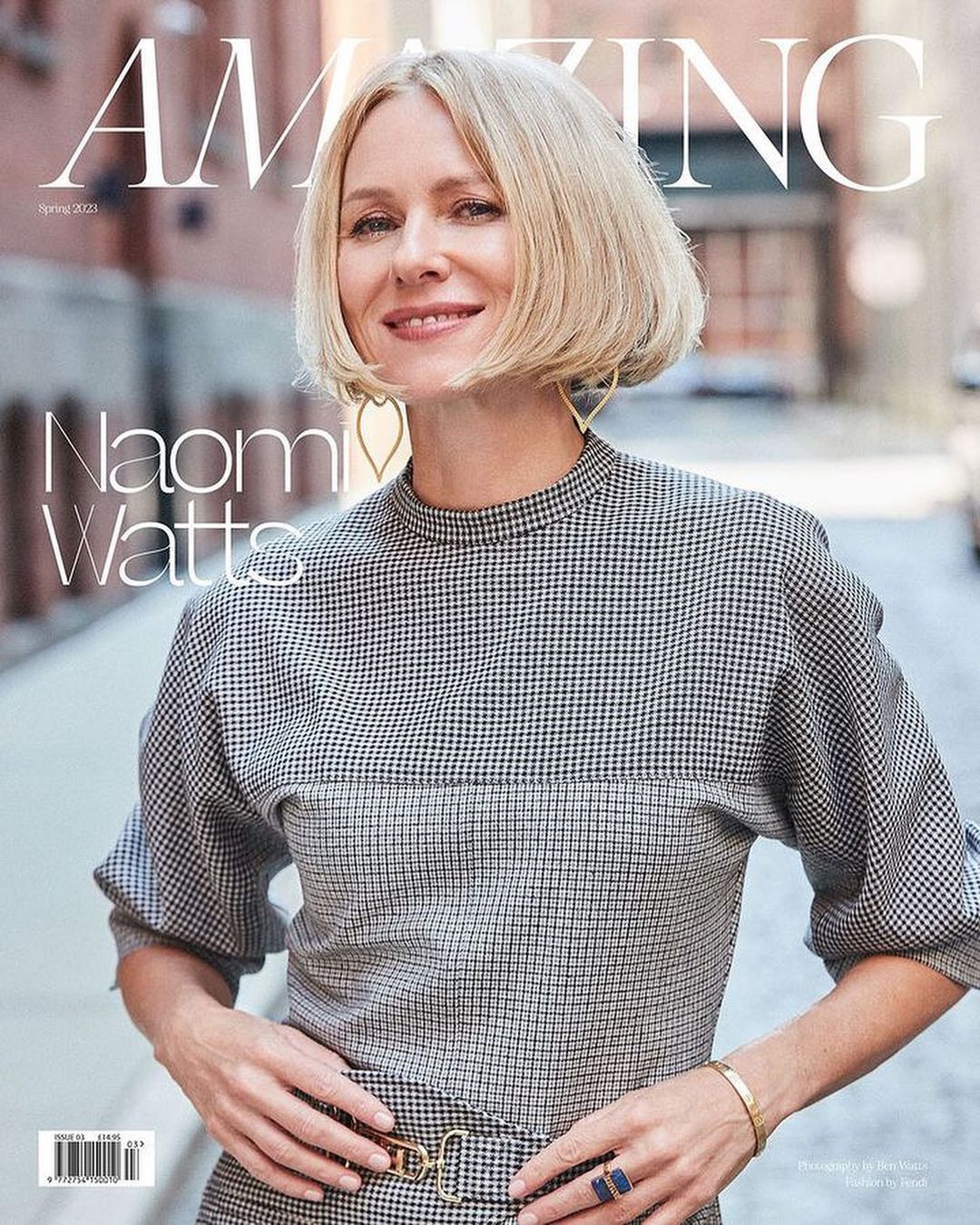Magazine cover featuring Naomi Watts wearing a houndstooth-patterned dress with gold accessories against an urban backdrop.