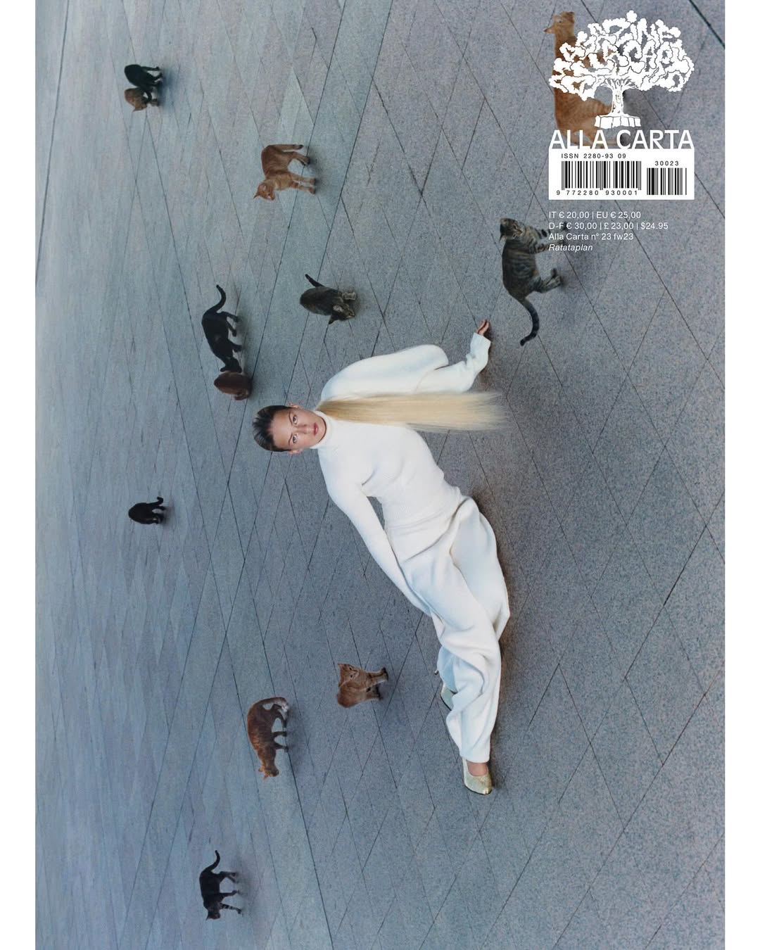 Woman in white outfit surrounded by stray cats on urban pavement, looking at camera. Magazine cover aesthetic, bird's eye view.