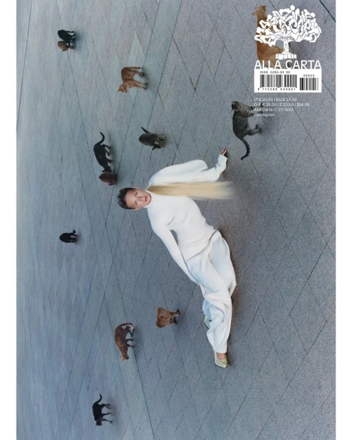 Woman in white outfit surrounded by stray cats on urban pavement, looking at camera. Magazine cover aesthetic, bird's eye view.