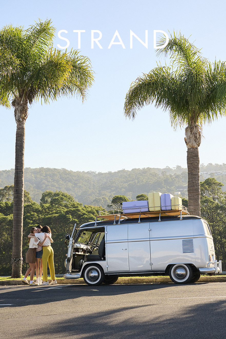 Silver vintage van parked between palm trees with three friends hugging. Luggage strapped to van roof with blue sky in background.