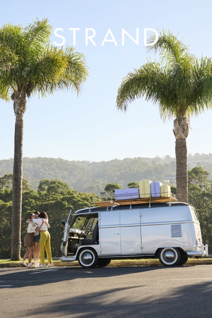 Silver vintage van parked between palm trees with three friends hugging. Luggage strapped to van roof with blue sky in background.