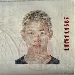 Johnson Lui