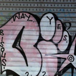 Bianca Raggi
