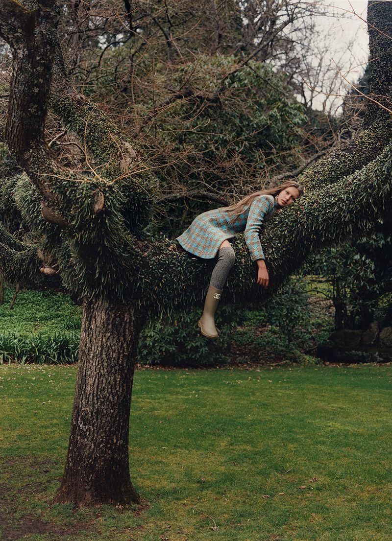 Model in plaid dress and tall boots perched in a large gnarled tree above a green lawn for Harper's Bazaar Australia