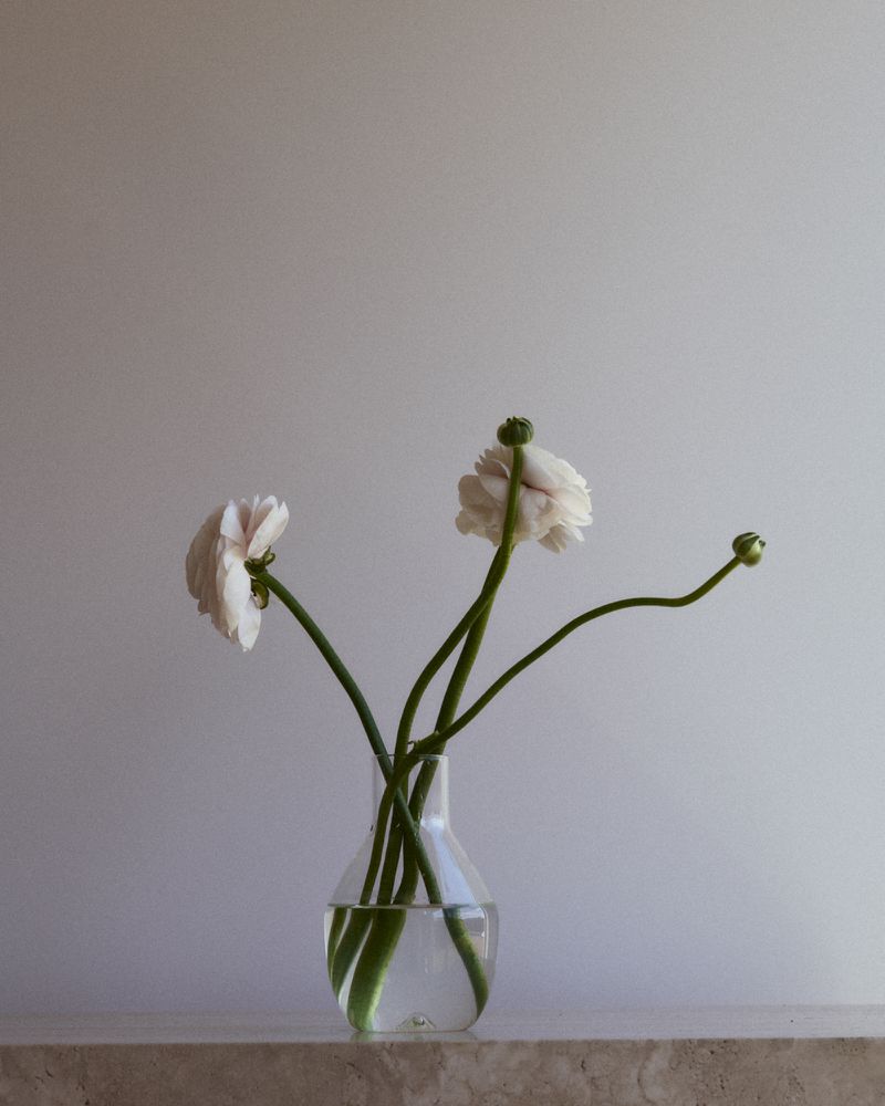 Floral arrangement with white ranunculus flowers in a clear glass vase, set against a soft gray backdrop on a marble surface.