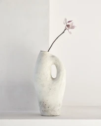 Textured white ceramic vase holding a single delicate pink magnolia flower against a plain white background