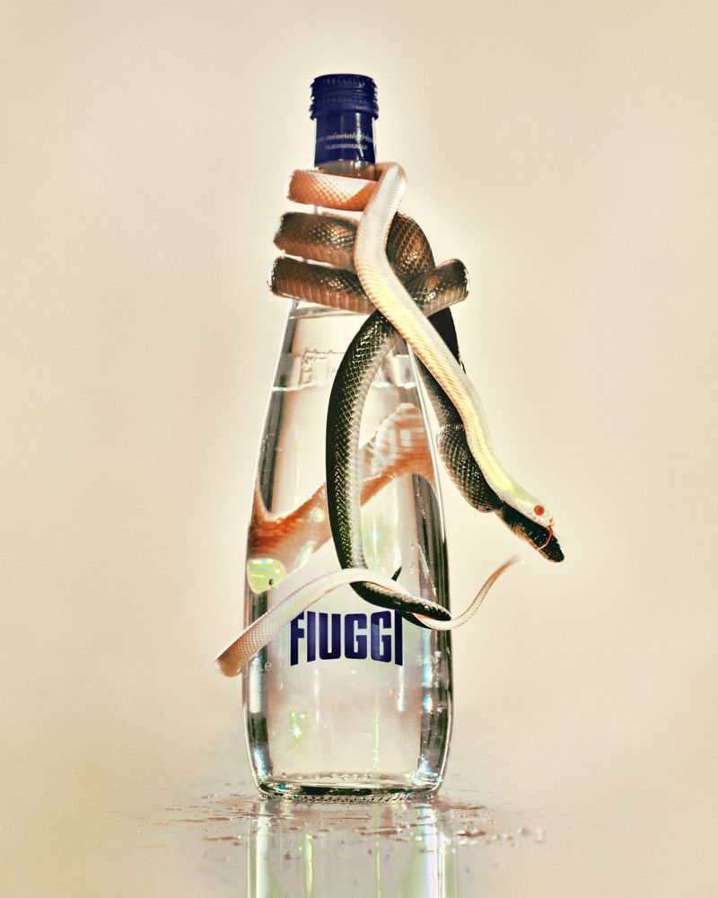 Clear glass water bottle with snakes wrapped around it in a studio setting with neutral tones and 'Fiuggi' brand label visible.