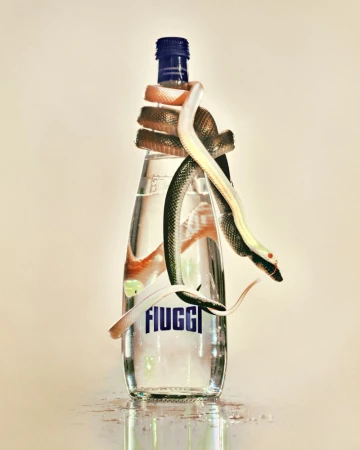 Clear glass water bottle with snakes wrapped around it in a studio setting with neutral tones and 'Fiuggi' brand label visible.