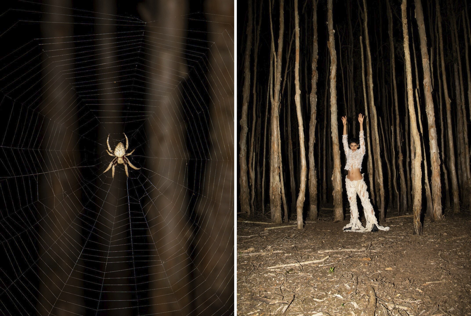 Split-screen image: close-up of a spiderweb with a spider, and a woman in shredded white clothing in a dark forest.