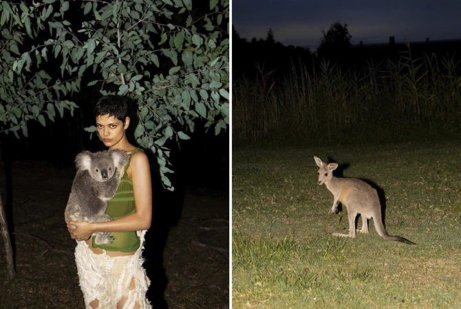 Woman holding a koala in dark outdoor setting with tree foliage, contrasted by a kangaroo in a separate outdoor environment.