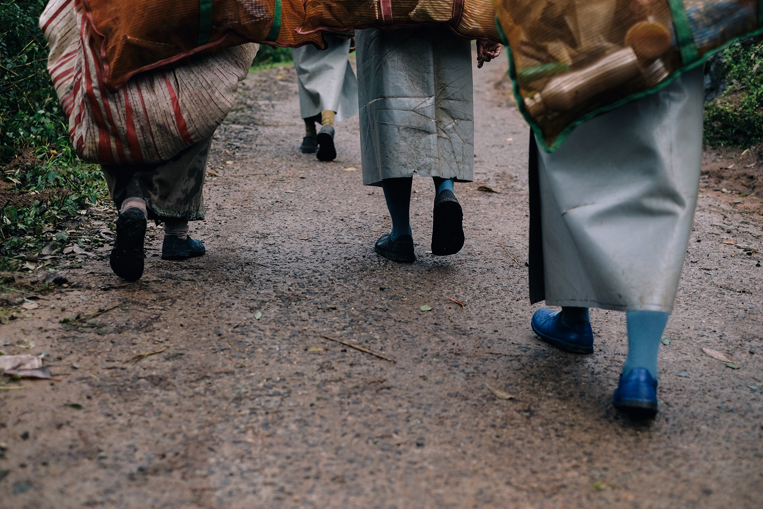 Low angle rear view of people walking along a wet dirt path carrying large sacks