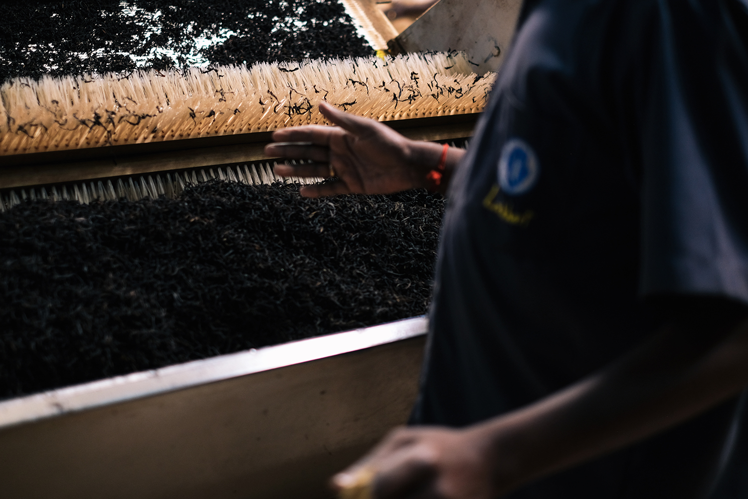 Person inspecting black tea leaves on a sorting machine with rows of brushes in an industrial setting. Dark color grading.