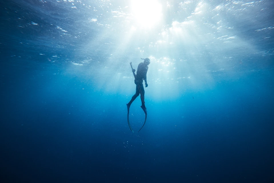 Citizens Of The Reef