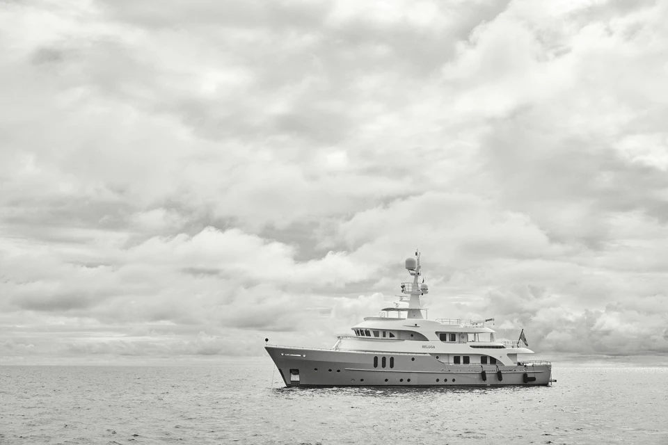 Citizens Of The Reef