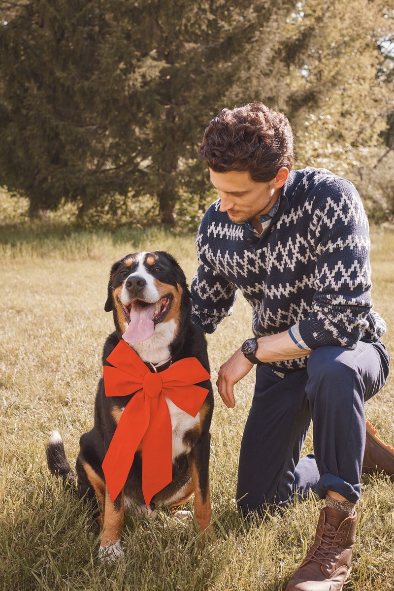 Man kneeling next to Entlebucher Mountain Dog wearing red ribbon in grassy field with blurred trees in background on sunny day.