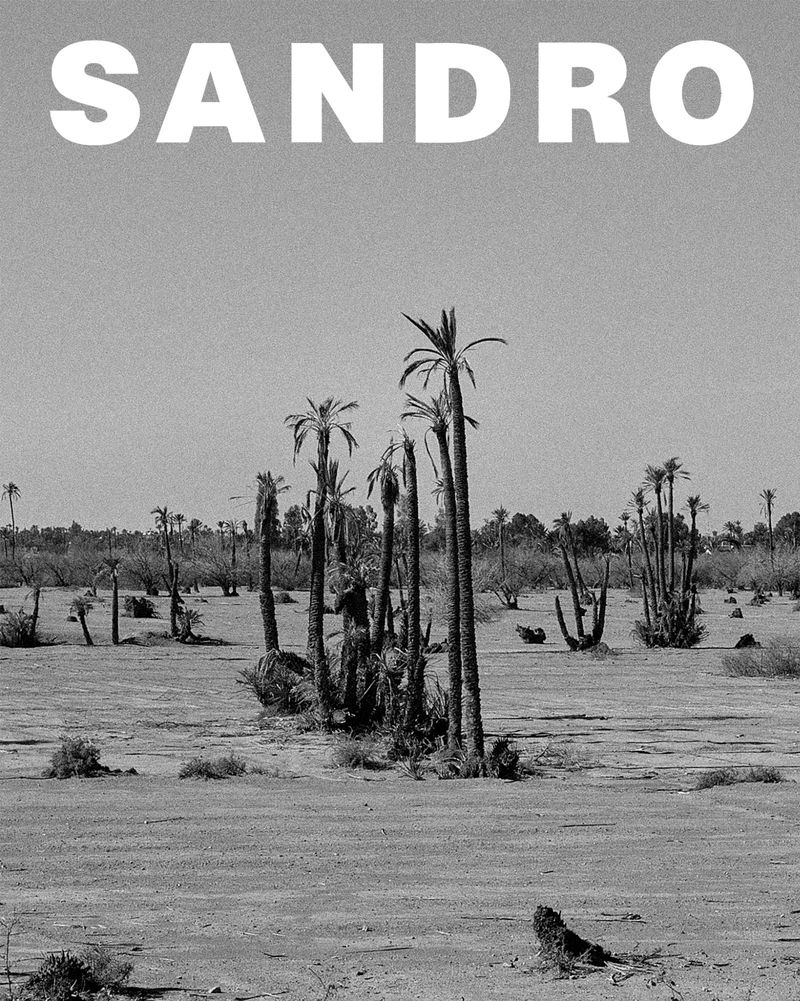 Monochrome desert landscape featuring sparse palm trees and the SANDRO logo, emphasizing nature and minimalist design, editorial in style.