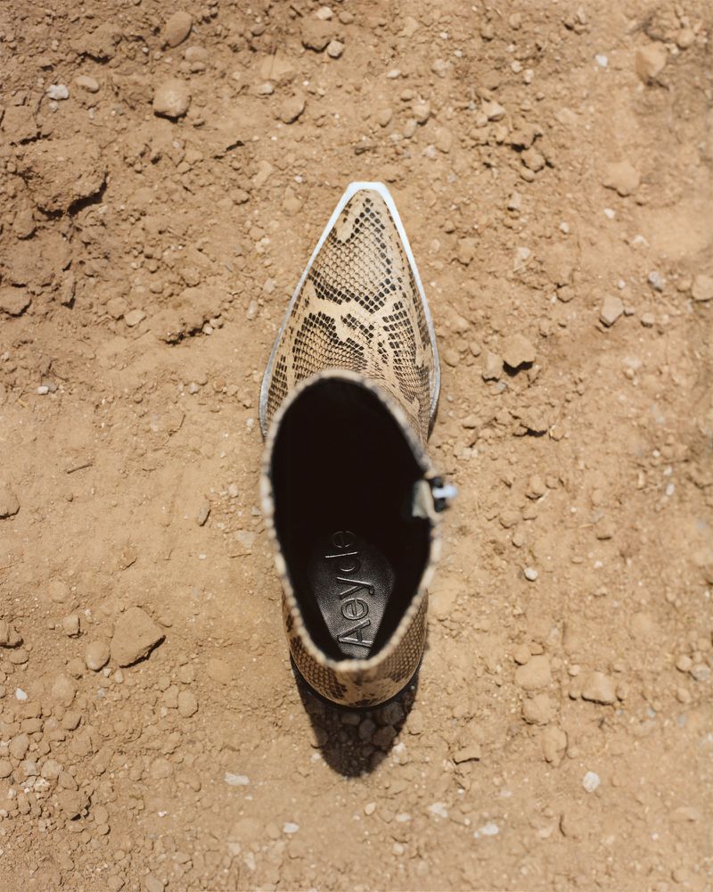 Snakeskin-patterned ankle boot with a pointed toe and a zipper, viewed from above, set on a brown, sunlit dirt ground.