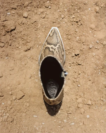 Snakeskin-patterned ankle boot with a pointed toe and a zipper, viewed from above, set on a brown, sunlit dirt ground.