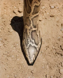 Snakeskin cowboy boot standing on dry desert dirt ground in bright natural daylight