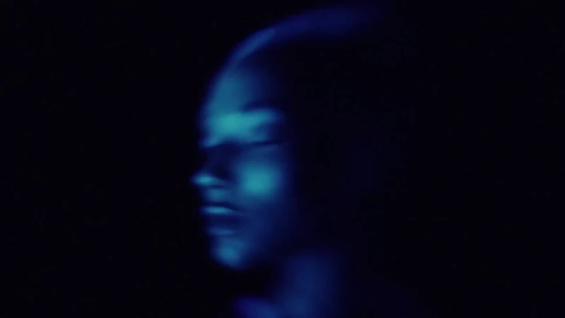 Line of Sight 2025, Feast Your Eyes - Visie