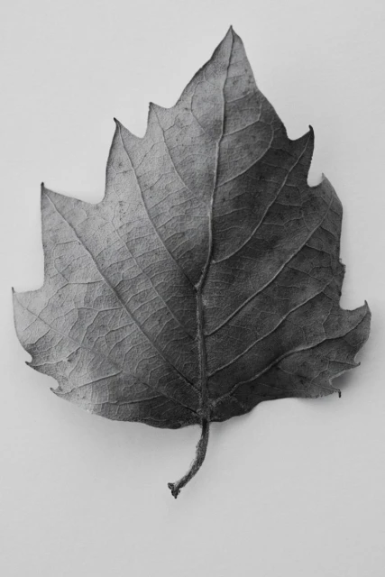 H&M WELLNESS Spring 2025 CAMPAIGN