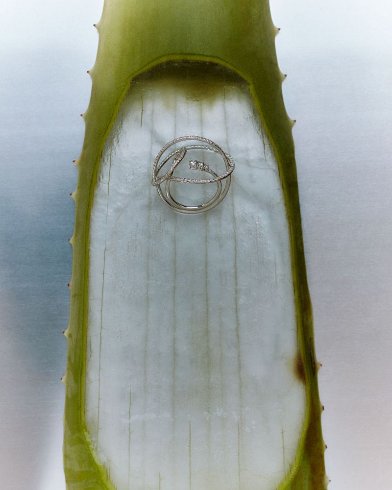 Silver ring resting on a section of aloe vera leaf, highlighting the jewelry's shine against the organic texture of the plant.