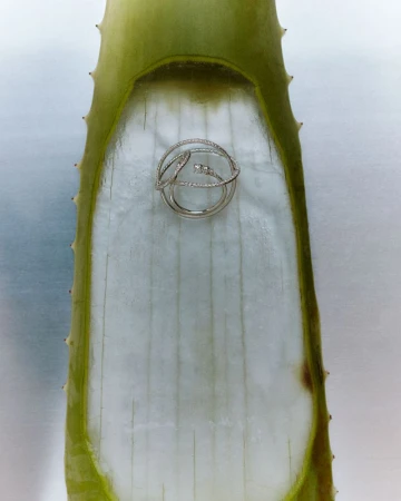 Silver ring resting on a section of aloe vera leaf, highlighting the jewelry's shine against the organic texture of the plant.